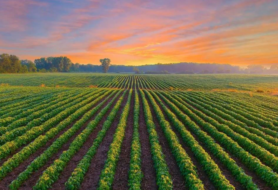 The Ground Beneath Our Future