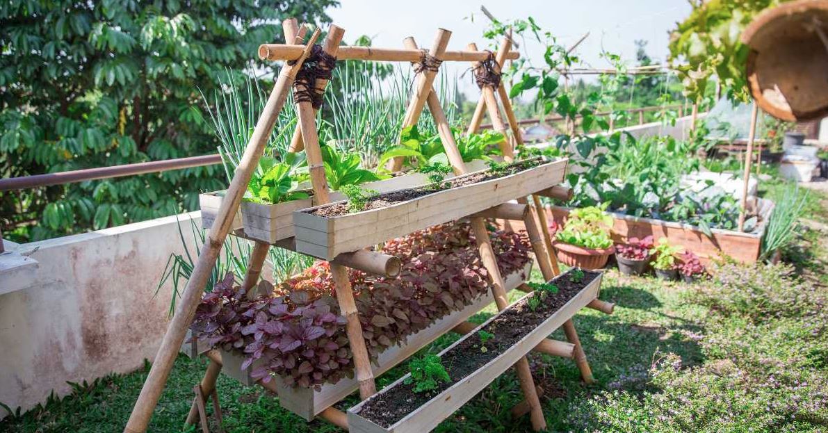 Gardens of Intelligence