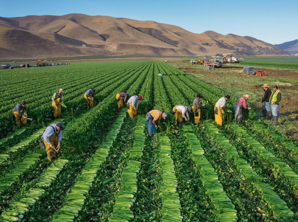 Feeding the Planet Together