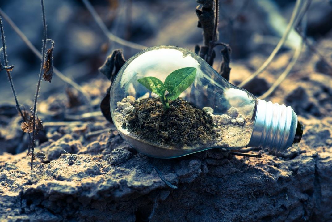 Seeds of Innovation