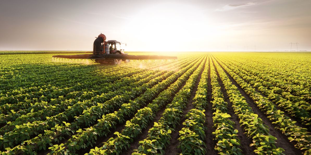 The Living Soil