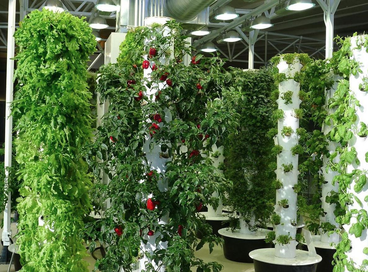 Farms That Touch the Sky